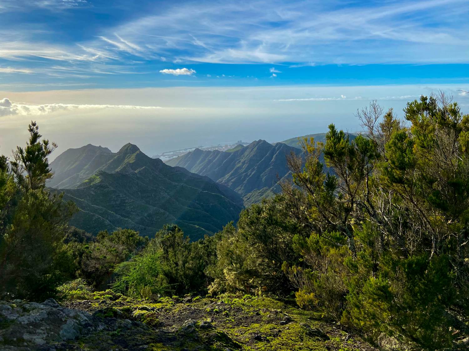 Blick vom Pico del Ingles über die Höhen und Täler bis zur Küste nach Santa Cruz de Tenerife