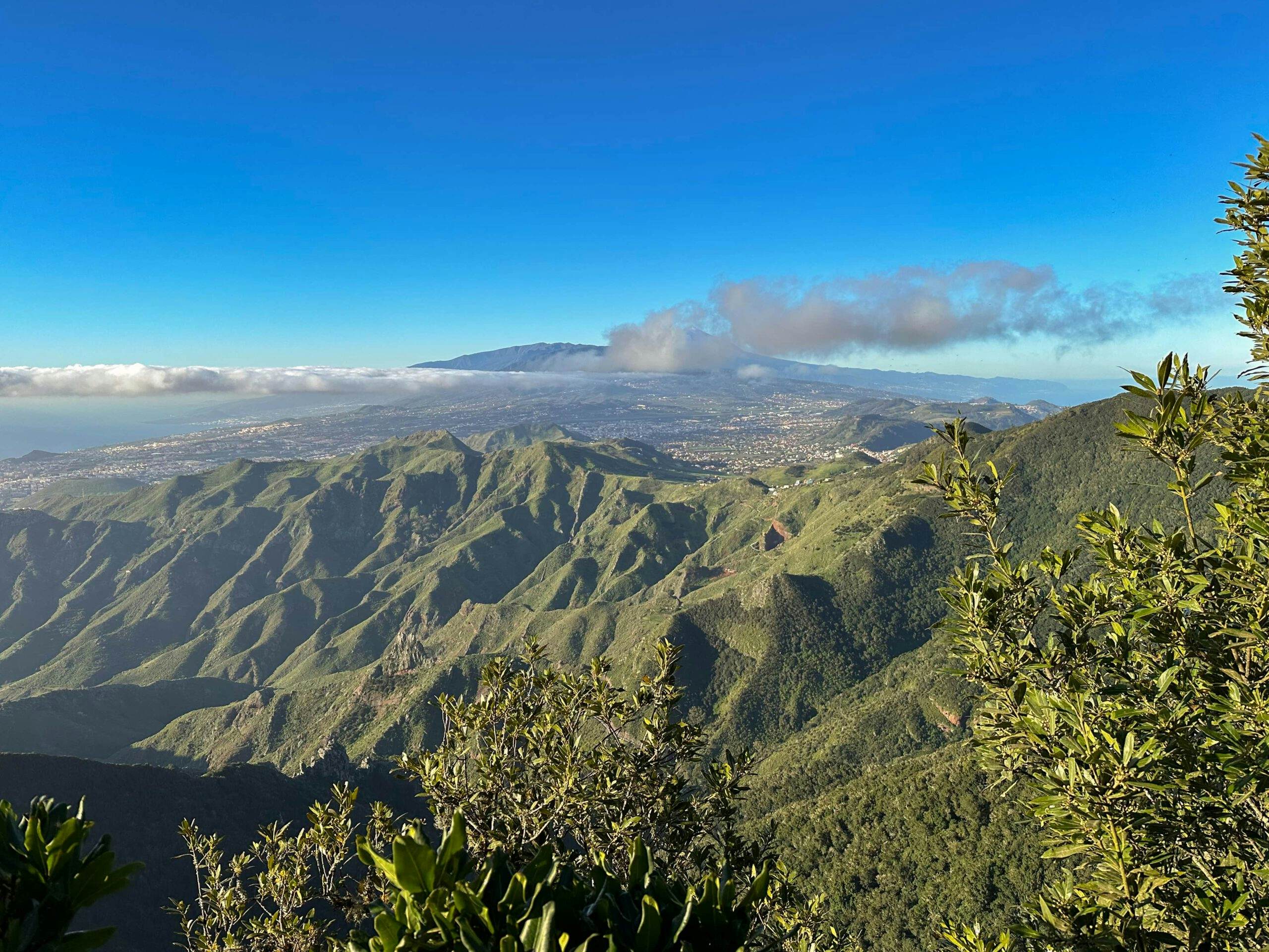 Blick vom Pico Inglés auf La Laguna und den Teide