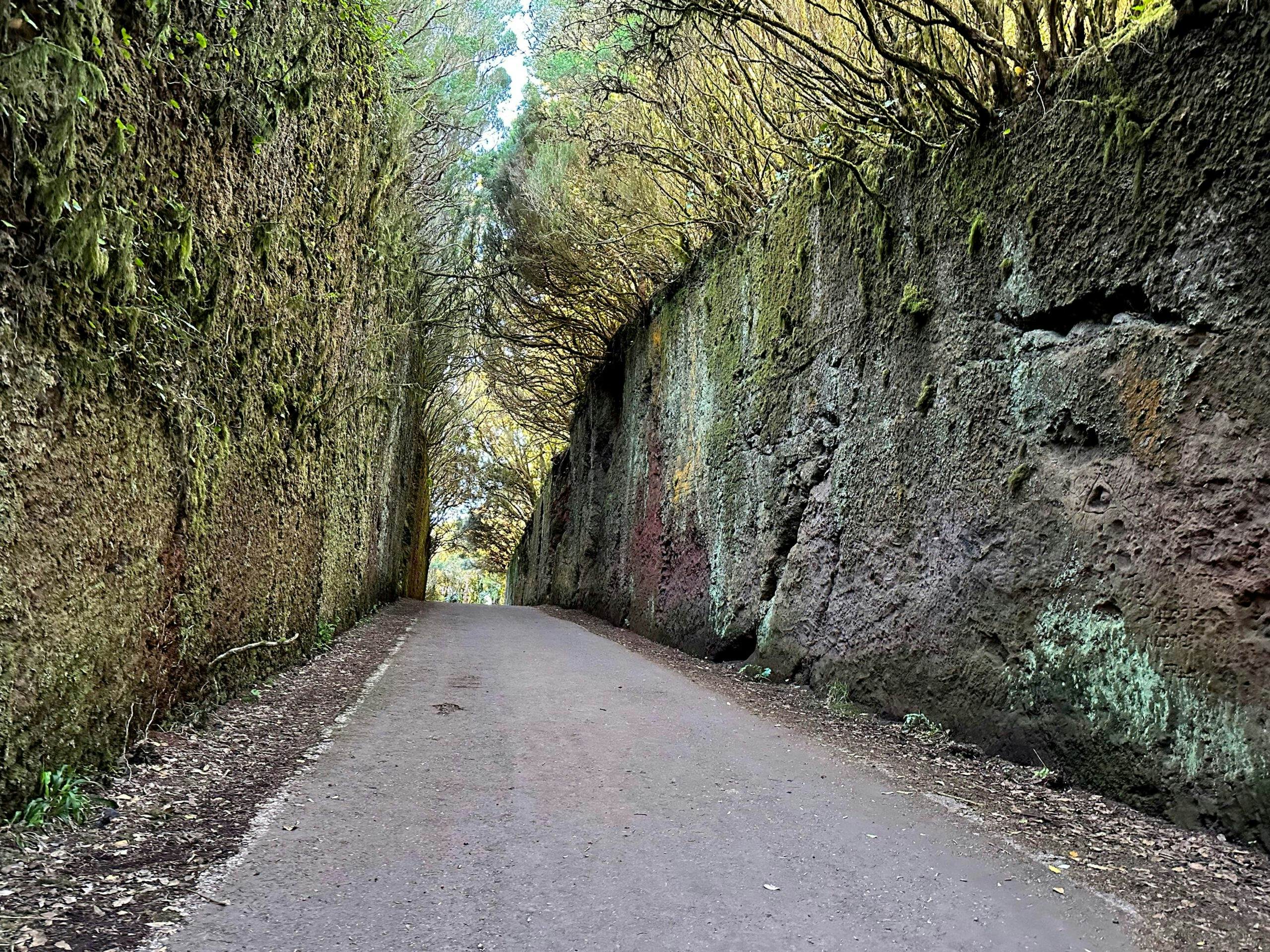 Alte Höhenstraße als Teil des Wanderweges in der Nähe des Pico Inglés - heute idealer Ort für Fotoshootings