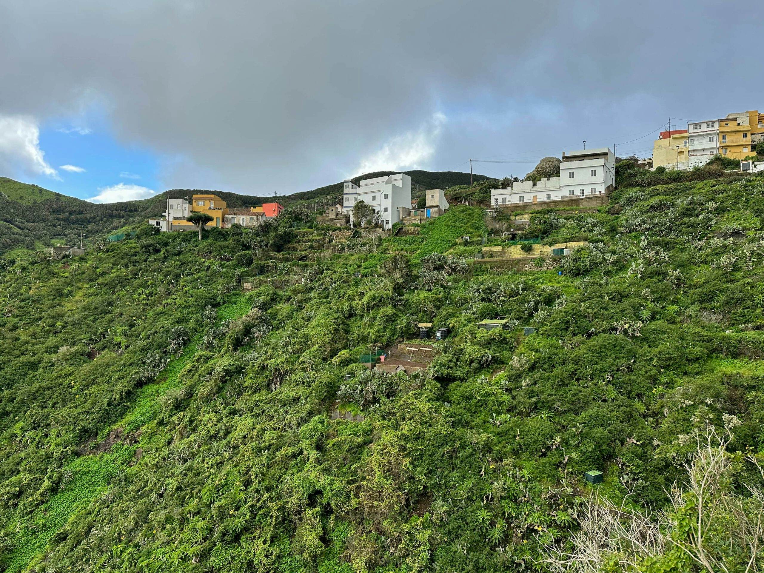 der kleine Ort Lomo de las Bodegas im Anaga über dem Barranco Anosma