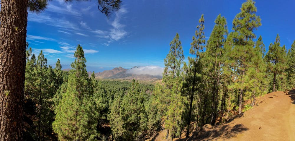 Blick auf das Teno Gebirge mit Pico Verde und Großem Gala