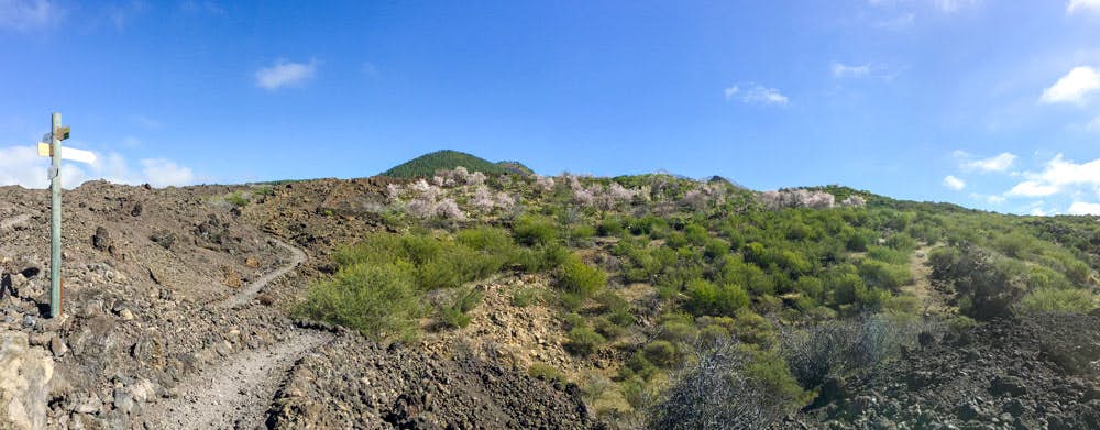 Panorama - Mandelblüten Wanderweg über Vulkangestein