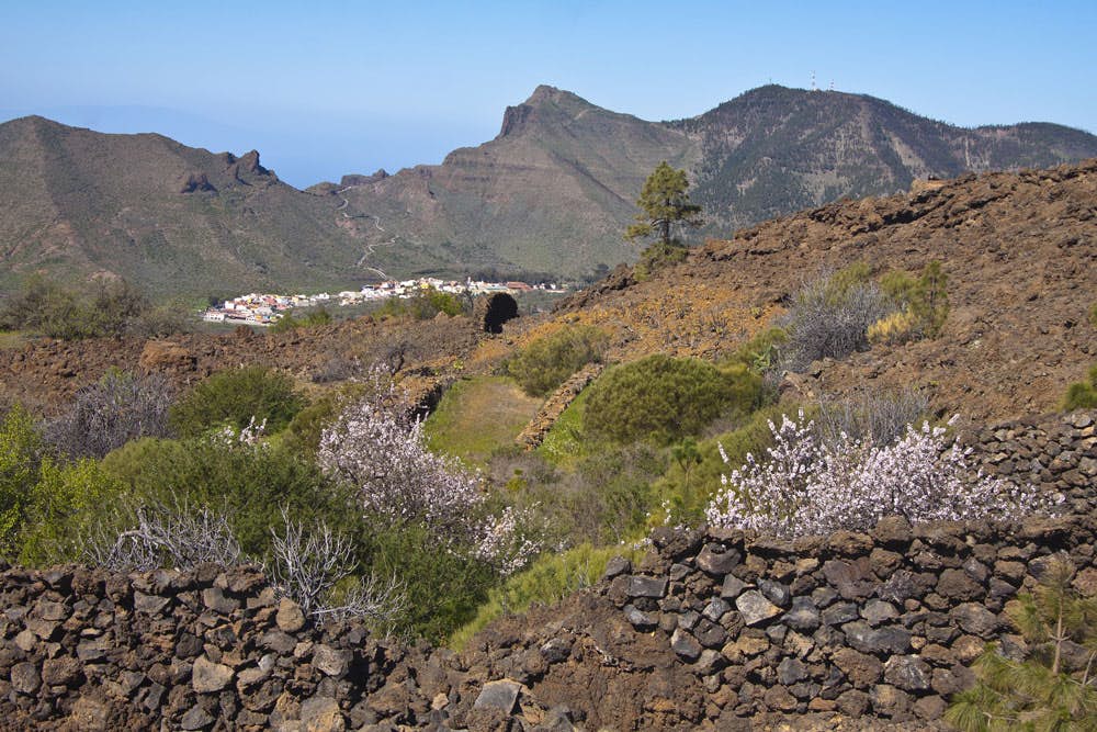 Steinmauern und Mandelblüte auf dem Wanderweg Almendros en Flor