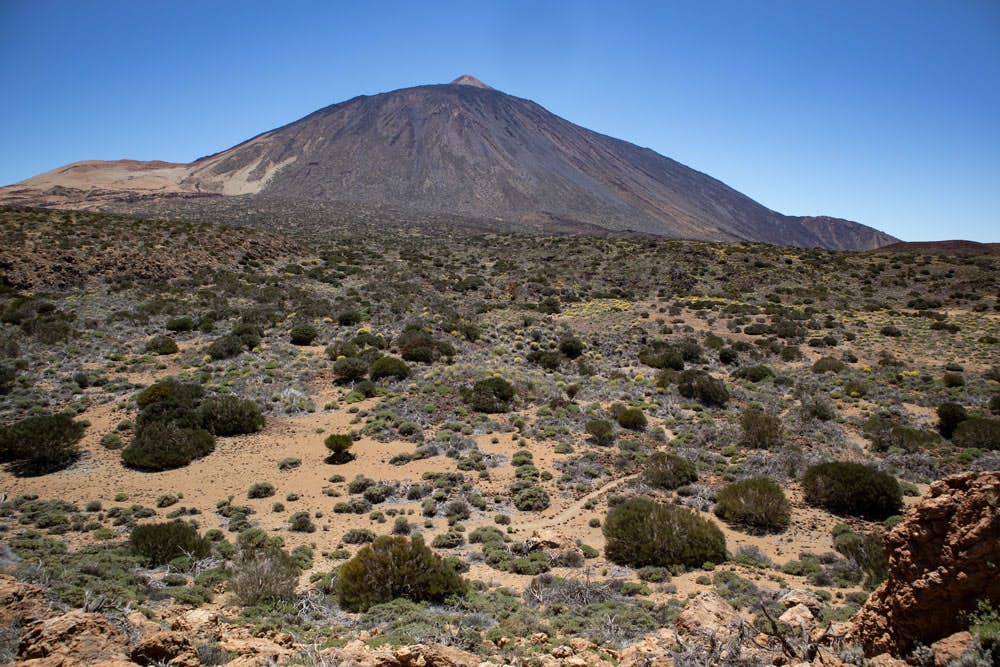 Teide und Montaña Blanca