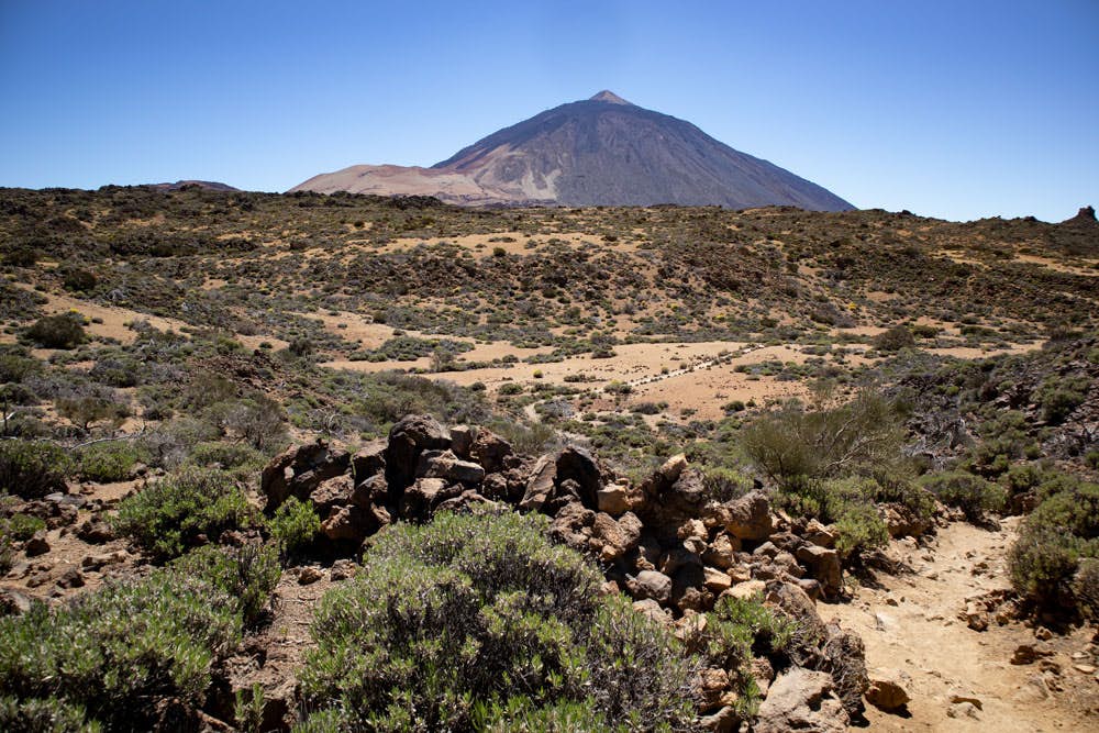 Blick zurück auf den Wanderweg Richtung Montaña Blanca und Teide