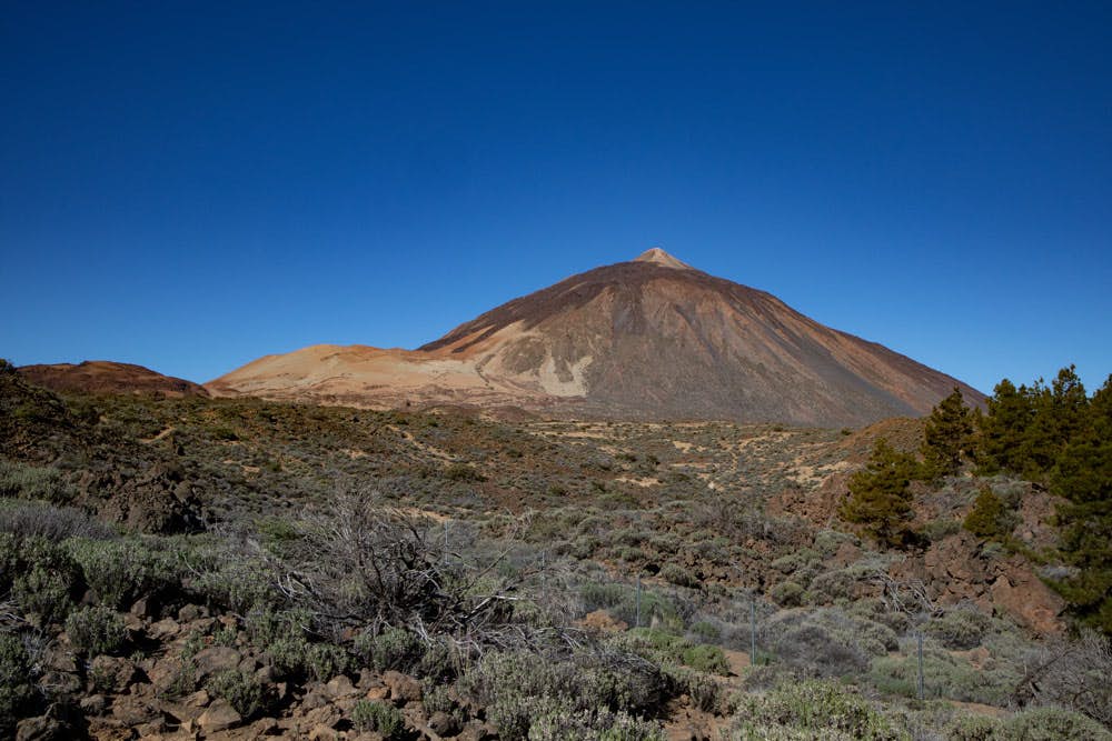 Teide und Montaña Blanca von El Portillo aus gesehen