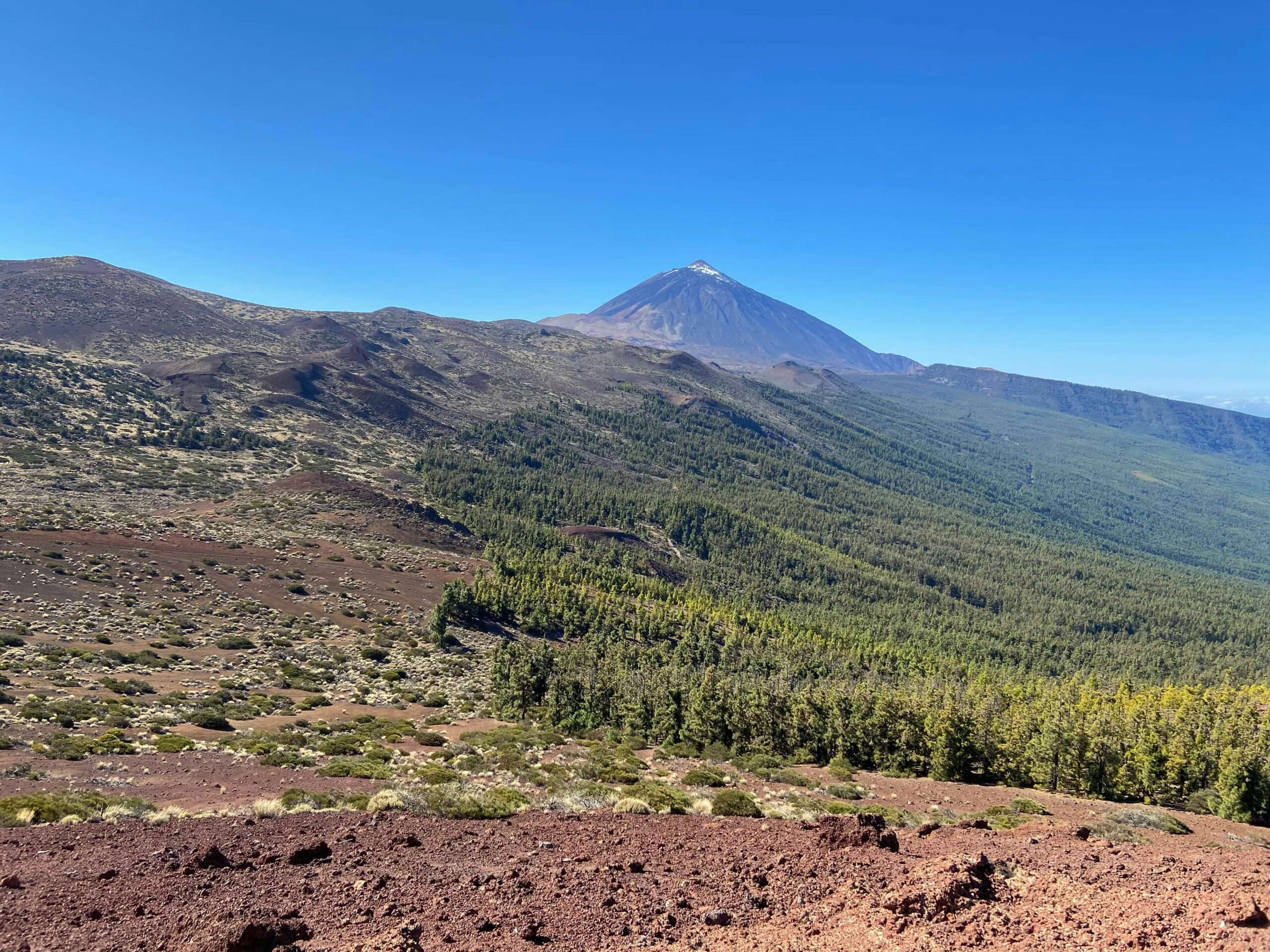 Blick auf den Teide und die Kiefernwälder des Orotava Tals von der Montaña Limón