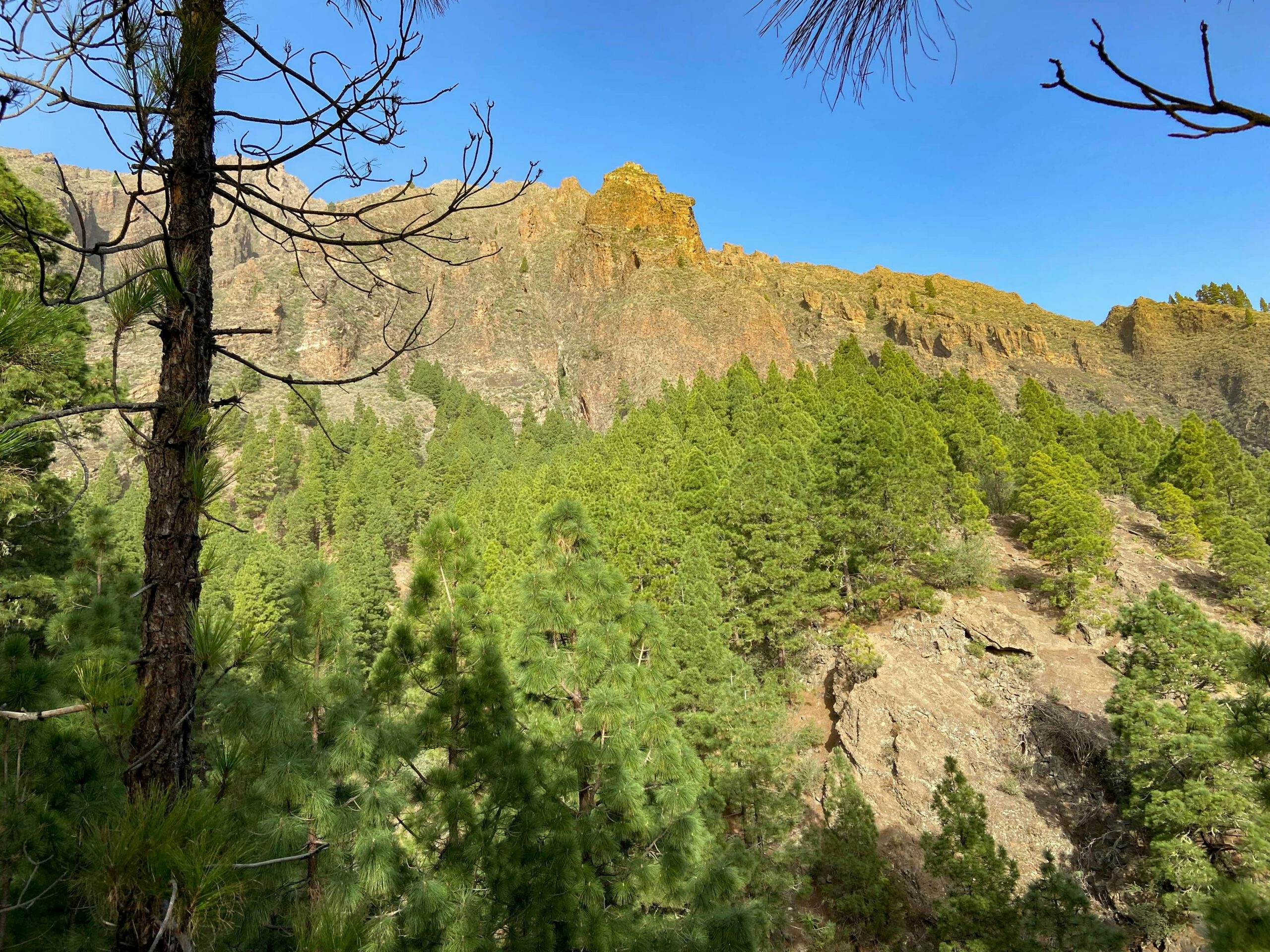 Blick vom Aufstiegsweg auf das Felsenmassiv um den Pico Cho Marcial