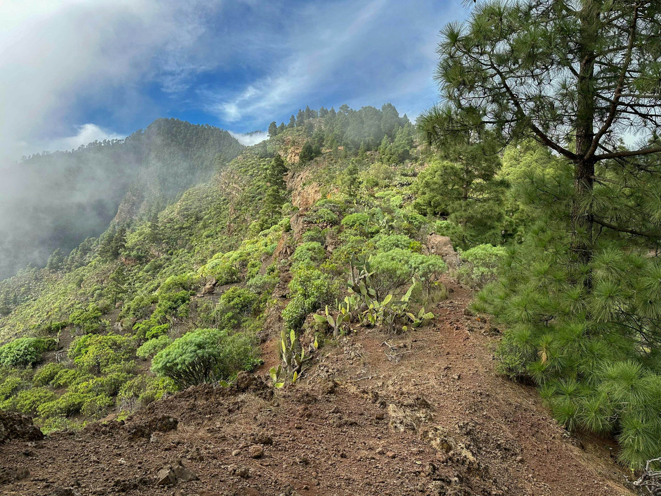 Abstiegsweg vom Pico Igonse bereits weiter unten in der Nähe der Strommasten und La Mesa