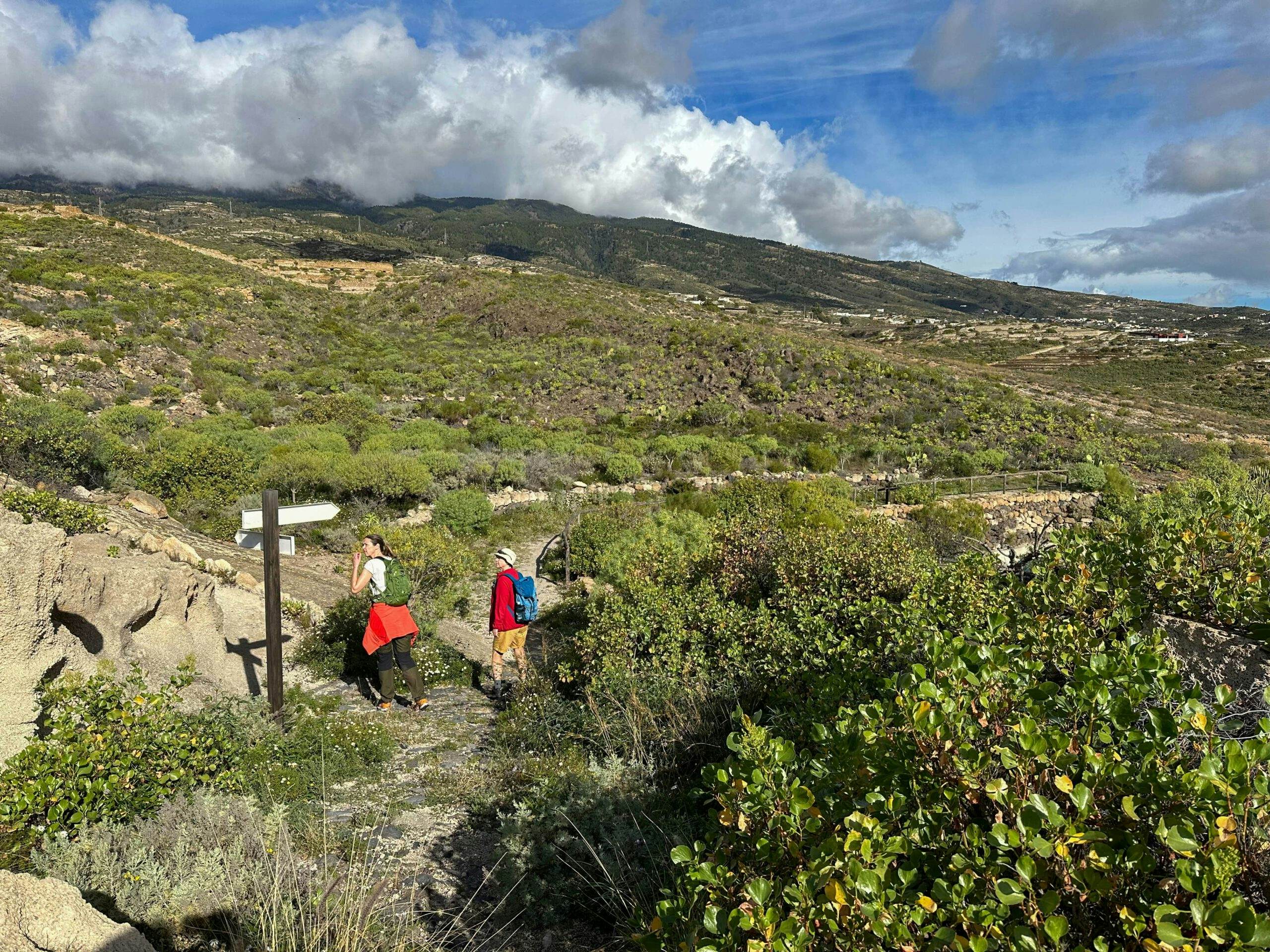 Wanderinnen auf dem Camino Real del Sur hinter Fasnia