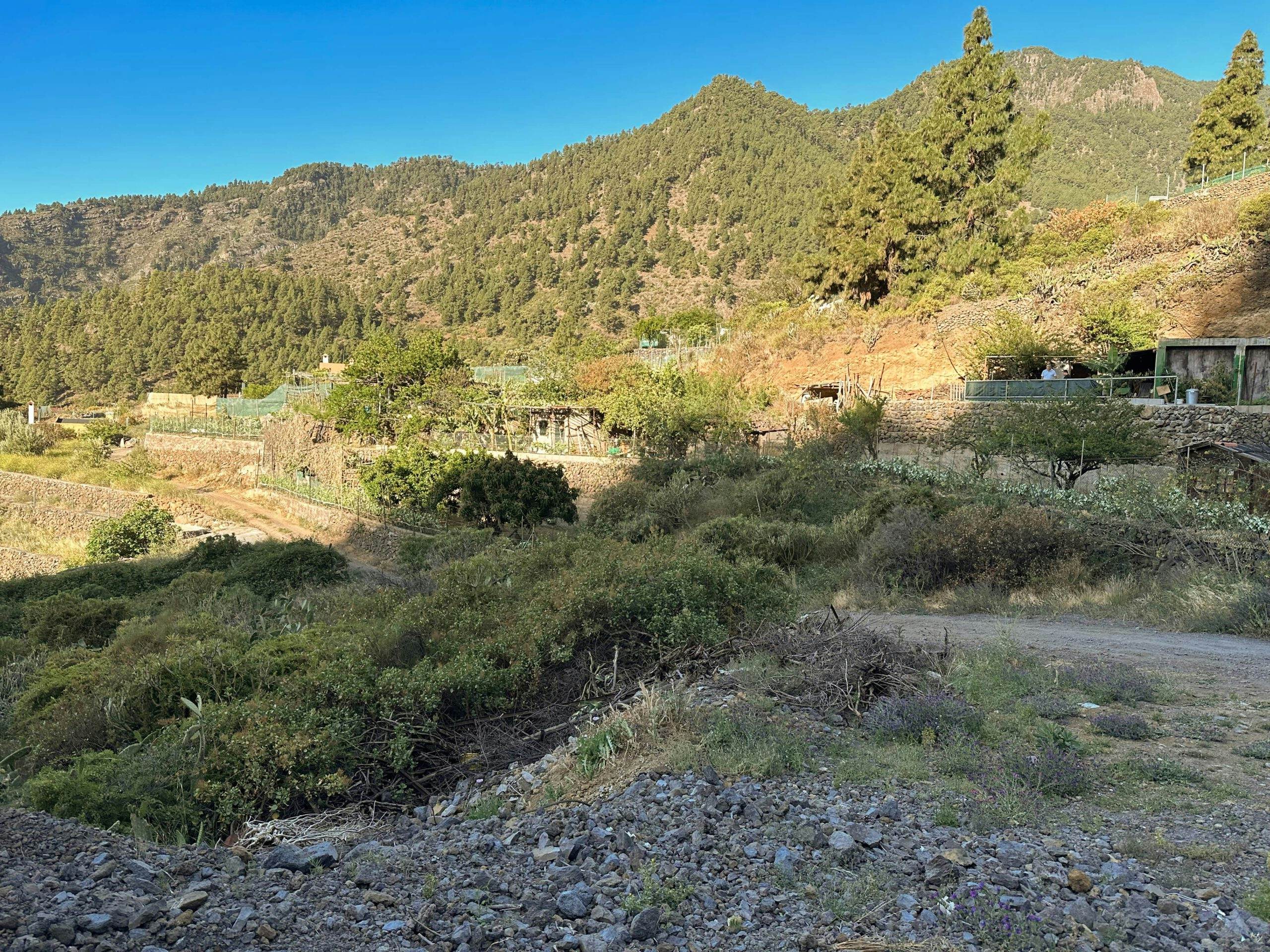Schotterpfad (ein wenig schwer zu finden) zweigt vom Fahrweg rechts bergauf ab - Igueste de Candelaria