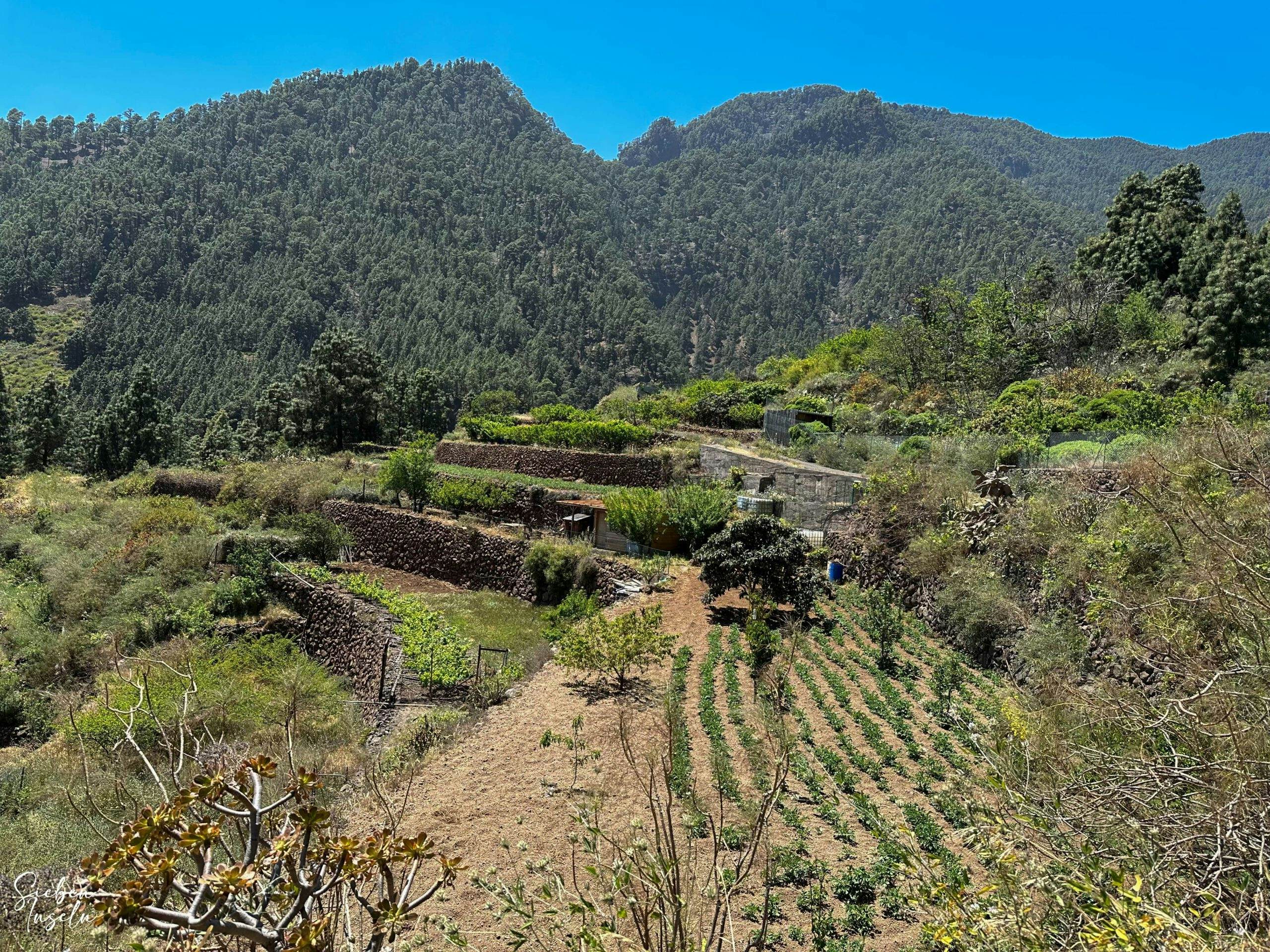 Blick vom Abstiegsweg über das Tal mit terrassierten Feldern und den Höhenzug zum Igonse