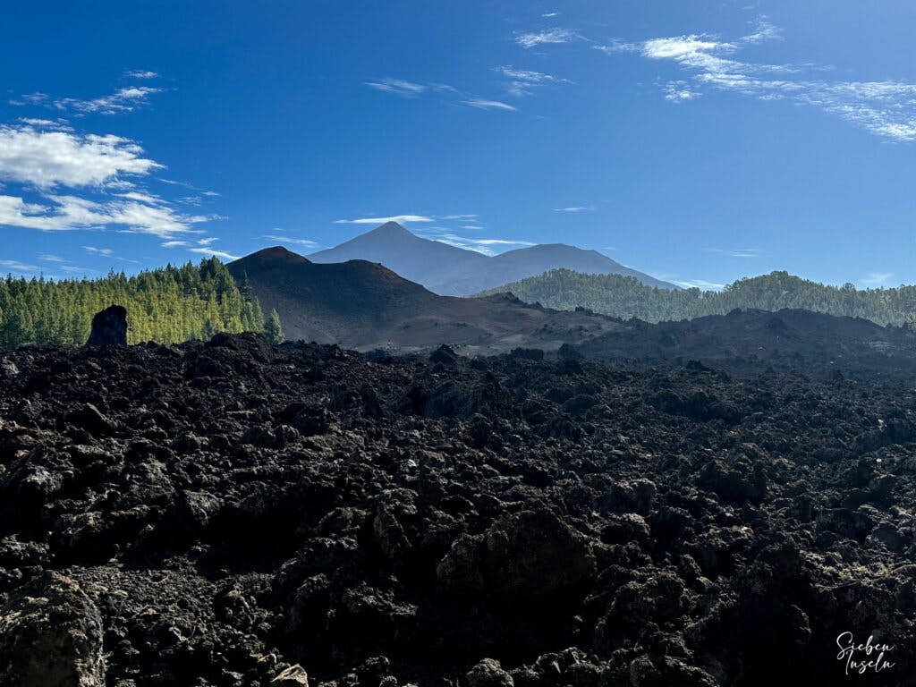 Wandern auf Teneriffa - der Südwesten - Blick auf Teide, Pico Viejo und Chinyero über den Lavafluss
