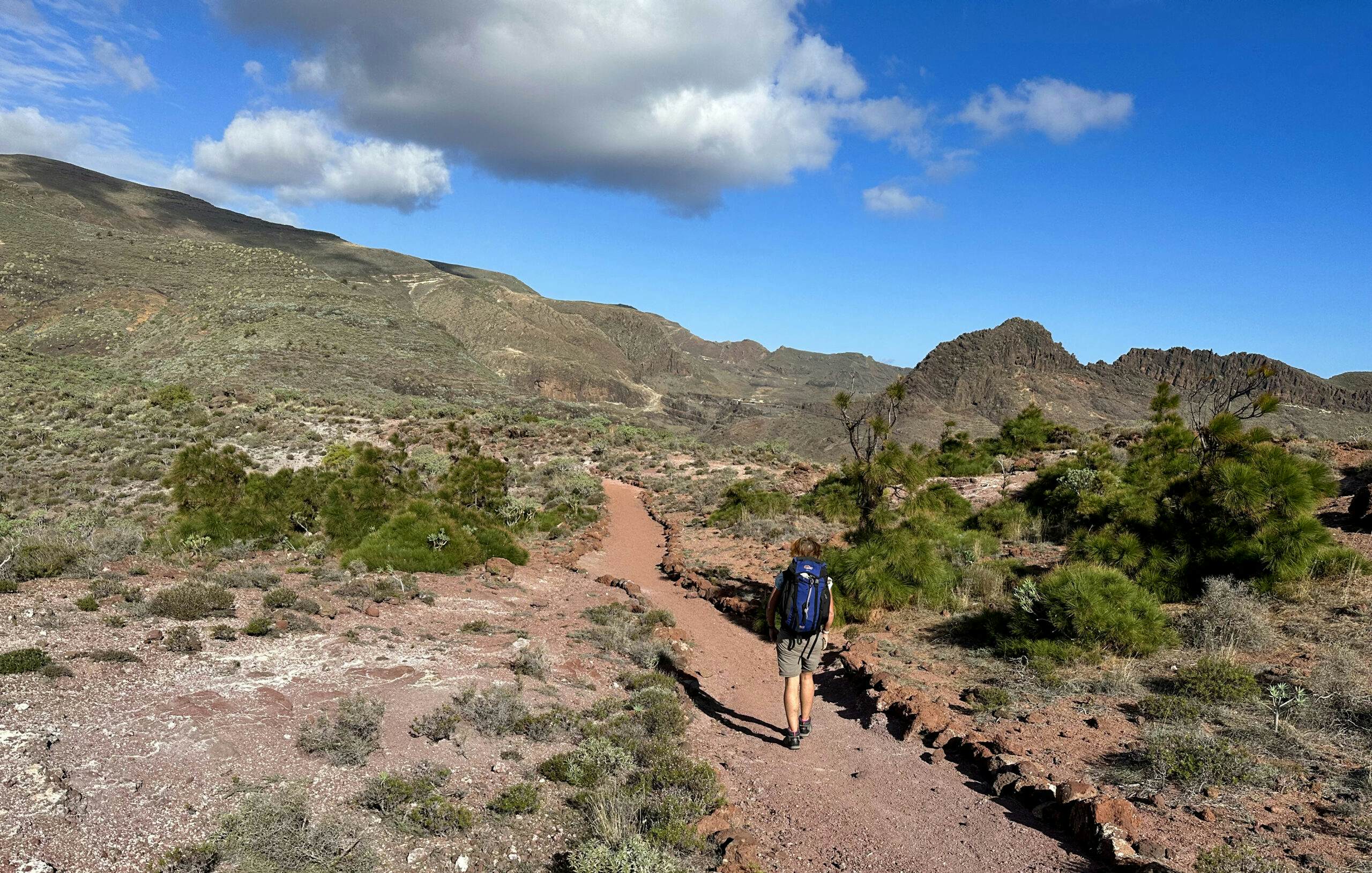 Wanderin auf dem Fernwanderweg GR-132 über La Gomera