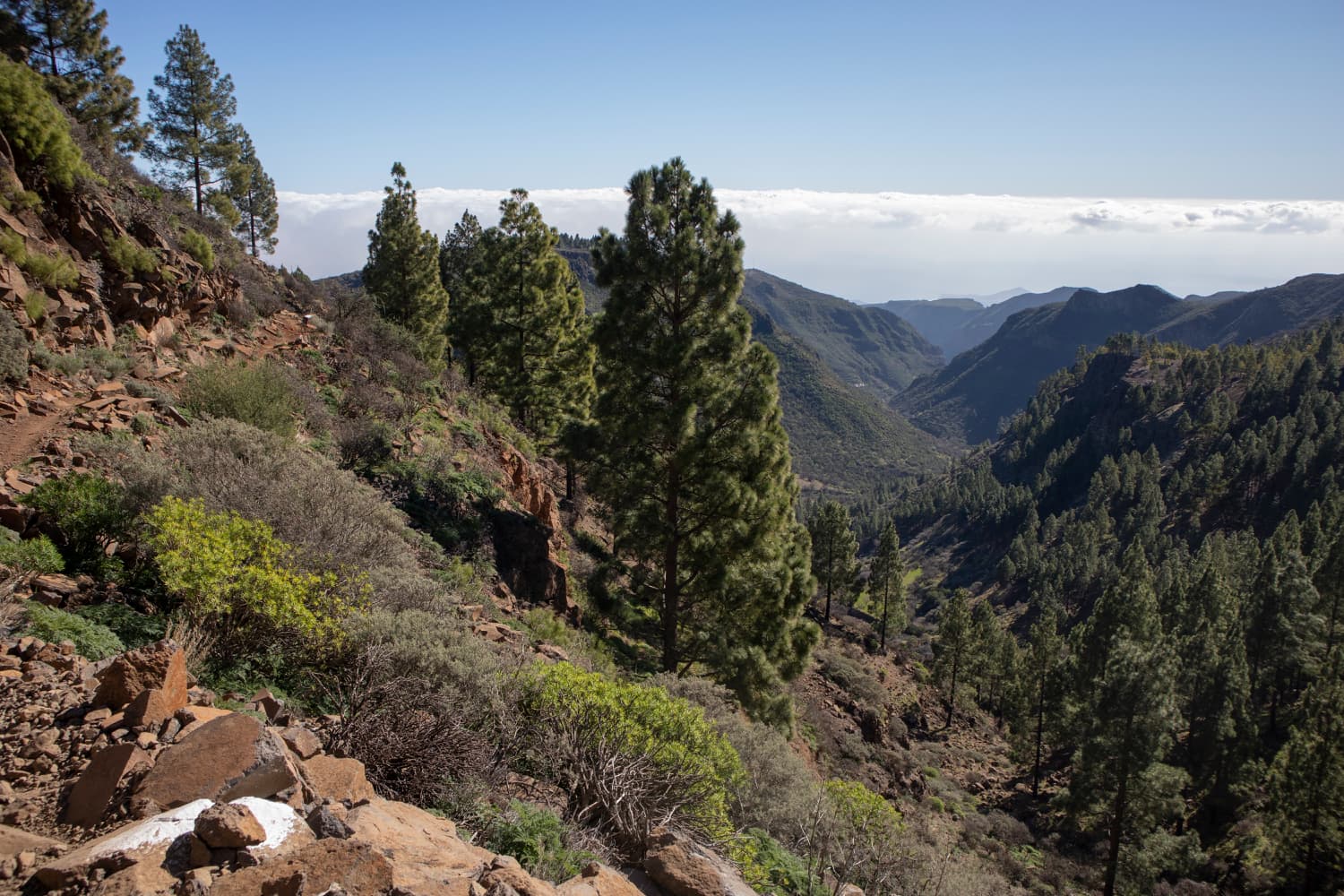 View from the slope path above the crossing of the Barranco de Guayadeque