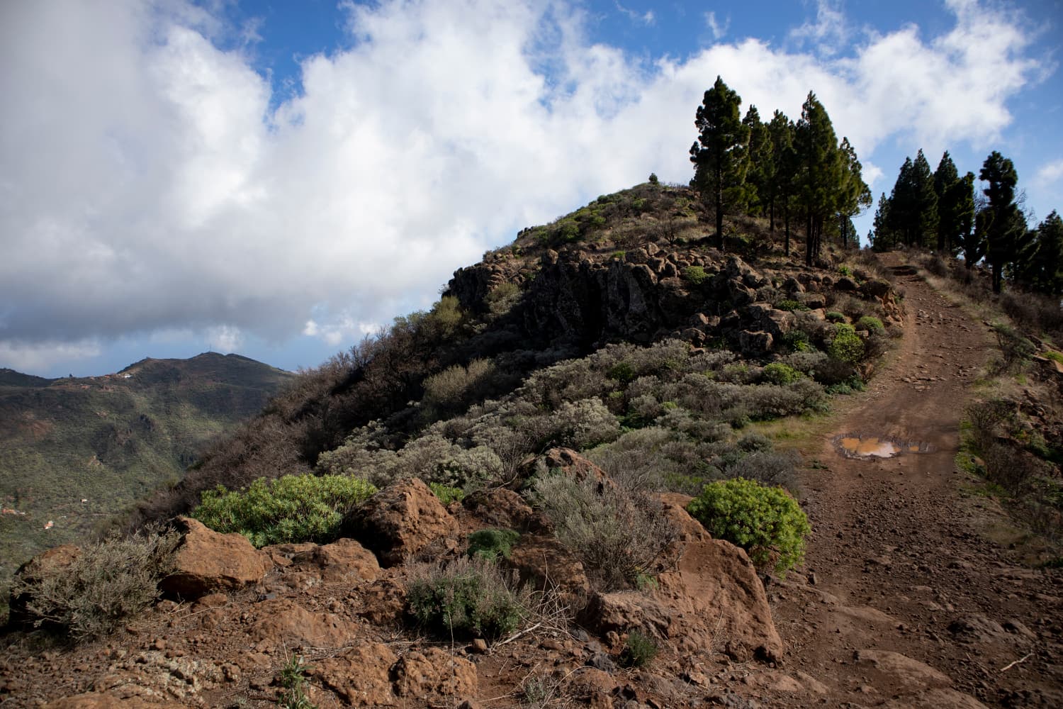 Hiking path on the driveway high above the Barranco de Guayadeque